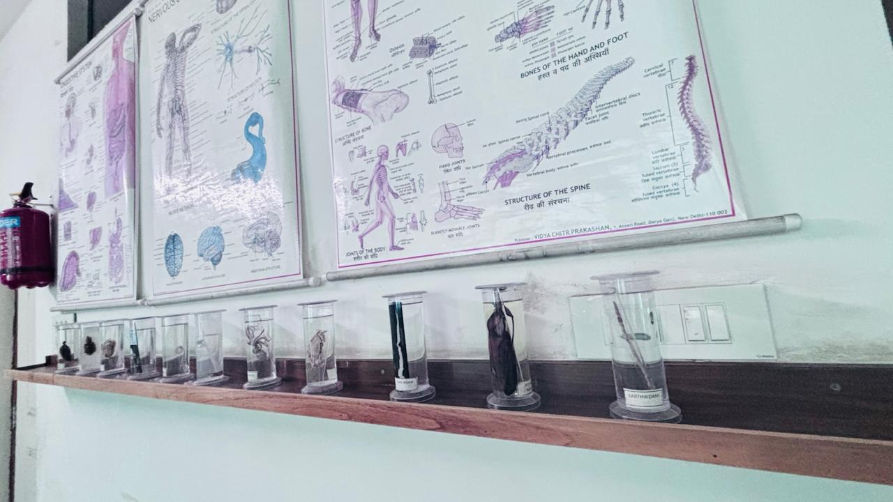 composite lab  MDS International school